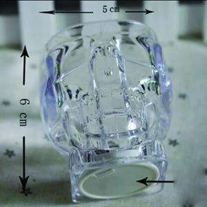 Per4um skull shot glass